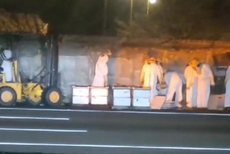 Overturned truck releases thousands of bees onto highway - UPI News