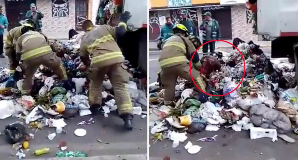 Shocking discovery inside garbage truck moments before being crushed - Yahoo News Australia