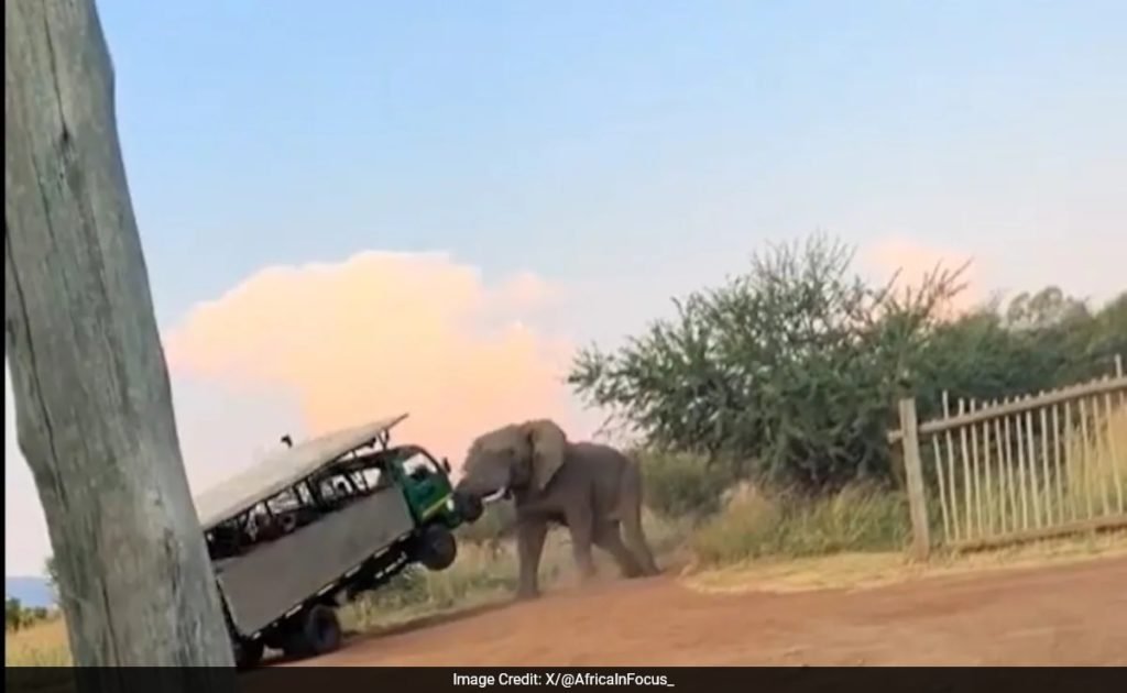 Video Shows Scary Moment When Elephant Lifted Truck Filled With Tourists - NDTV