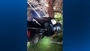 Man rescued after pickup truck crashes into tree in Collier Township - Yahoo! Voices