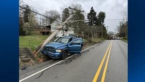 Driver arrested after crashing pickup truck into pole in Penn Hills - Yahoo! Voices