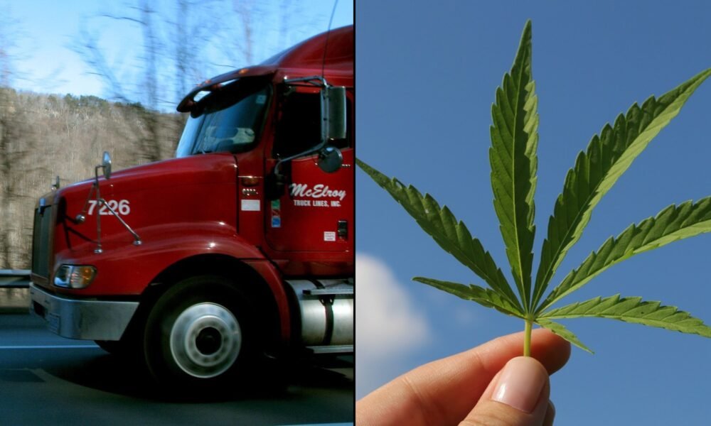 Record Number Of Truck Drivers Refuse To Take Drug Tests As More States Legalize Marijuana - Marijuana Moment