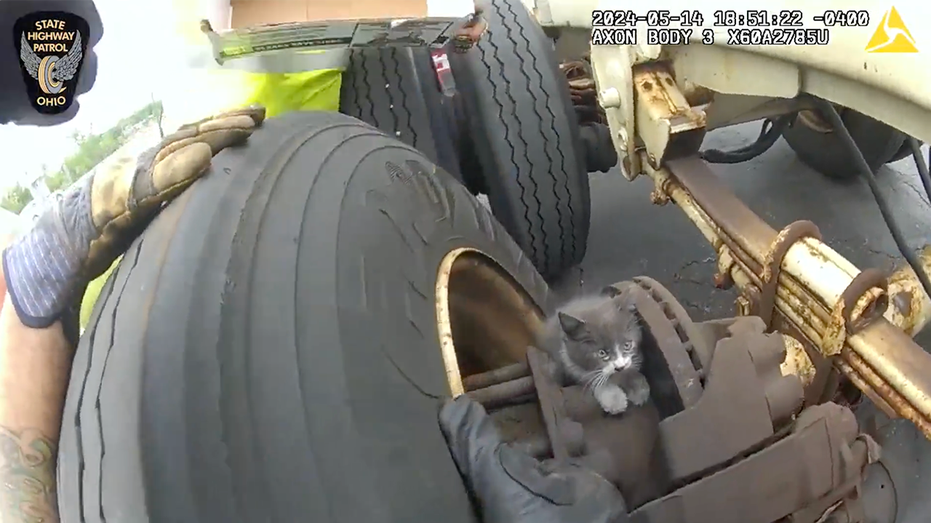 Ohio kitten trapped in semi-truck's wheel well: See the 'Mission Im-paw-sible' rescue video - Fox News